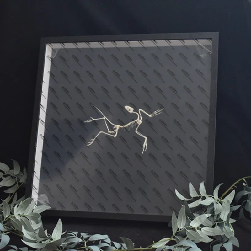 2120 Archaeopteryx Fossil Art  – обзор и цена Fossil Replica Display