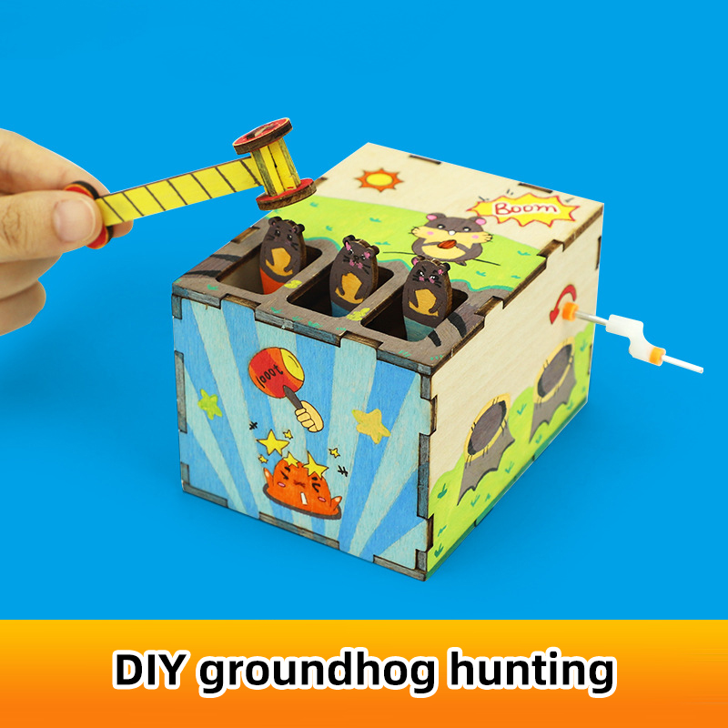 DIY Mouse Game Science and Tec – обзор и цена Science And Invention