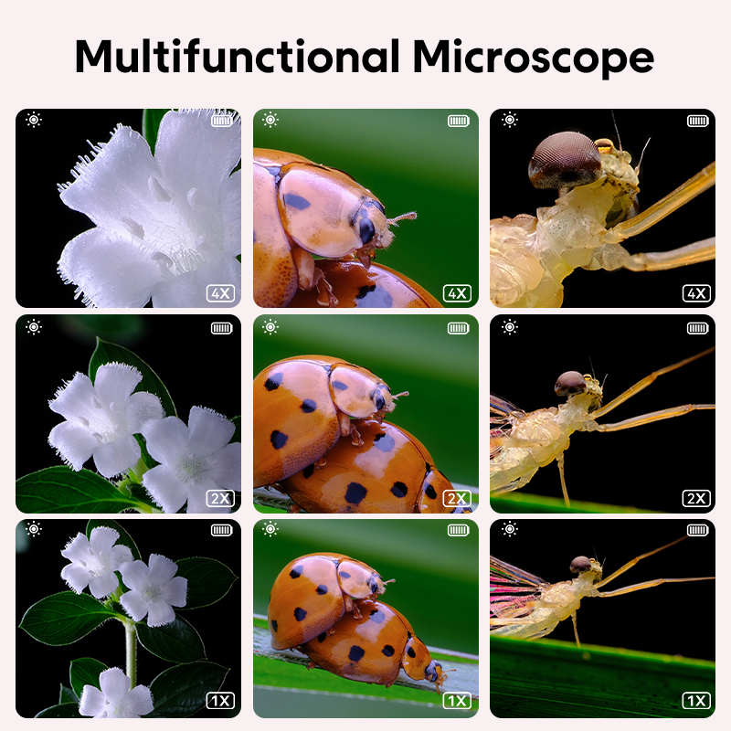 Mini Kids Optical Microscope W – обзор и цена Science Max